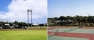 いきいき広場・新島スポーツ広場の写真
