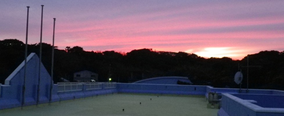 式根島中学校屋上から見た夕陽