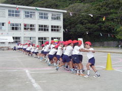 一生懸命綱を引っ張る赤組の児童たち